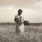 Picture for song 'Try' by artist 'Lifted Voice'