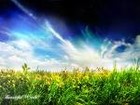 Picture for song 'Yismechu HaShamayim- the Heavens are Happy' by artist 'Lizzi Jill Honeyrose Heydemann'
