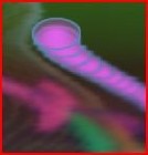 Picture for song 'Trampolinear' by artist 'Loren'