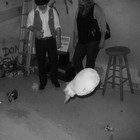 Picture for song 'mostachon mono' by artist 'Los Mostros del rio Raton'