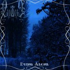 Picture for song 'Night Of Ice' by artist 'Lutus'