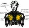 Picture for song 'Chest Pains III (sugar, sugar)' by artist 'macintard'
