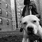 Picture for song 'Brass Magic (south/trap)' by artist 'Mackd Out Musik'