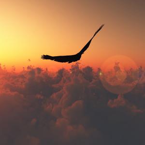 Picture for song 'Flying High (Full Version)' by artist 'MadCatStudiosPrague'