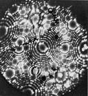 Picture for song '' by artist 'Manfred's Mirror'