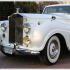 Picture for song 'Rolls Royce MP09' by artist 'Marley's Paradise'