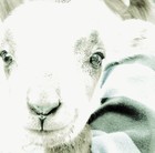 Picture for song 'Enduring Love' by artist 'Mar-Cie'