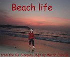 Picture for song 'SD-09 Beach Life' by artist 'martin stirrup'