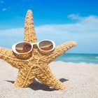 Picture for song 'SummerLovin'' by artist 'Shingie.'