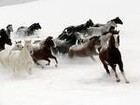 Picture for song 'Snowfall' by artist 'Matthew Sear'