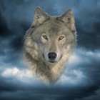 Picture for song '*NEW* Instinct | FREE DL' by artist 'Mike Angelo Beats'