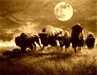 Picture for song 'PAPAW SAM' by artist 'MIKE REYNOLDS BAND'