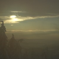 Picture for song 'shadowland' by artist 'MikeSch'