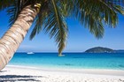 Picture for song 'Caribbean Dream (Soca)' by artist 'Milenium Music'
