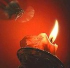 Picture for song 'Falling In Love Again' by artist 'Miz Sandy and Friends'