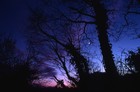 Picture for song 'winter twilight' by artist 'Mojo Productions'