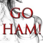 Picture for song 'Go Ham Instrumental' by artist 'MONEY MAINTENANCE ENTERTAINMENT'