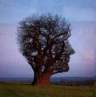 Picture for song 'and so I do not understand(NEW457)' by artist 'MOSI REC'