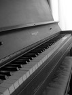 Picture for song 'Forty Degrees' by artist 'Nate J.'