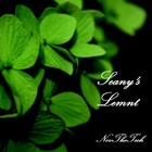 Picture for song 'Seany's Lament' by artist 'NevTheTech'
