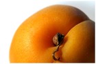 Picture for song 'Apricot Preserves' by artist 'Nick Deacon'