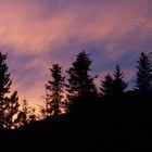 Picture for song 'Cat And Mouse' by artist 'Nils-Ole Finbak'