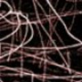 Picture for song 'Recent Colloquy' by artist 'Nini'