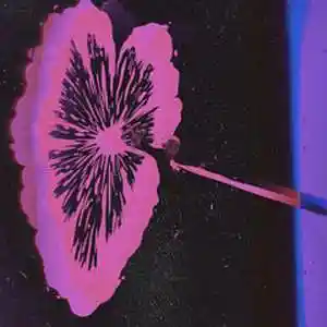 Picture for song 'ZIMBABWE - Wiz Kid x J Balvin x Bad Bunny Sad Af' by artist 'nolyrics music group'