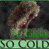 Picture for song 'So Cold' by artist 'N. Talekt - So Cold'