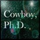 Picture for song 'Cowboy, Ph.D.' by artist 'Numi Who'