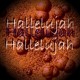Picture for song 'Hallelujah - Derivative Lyrics (sing)' by artist 'Numi Who Creative Covers'