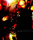 Picture for song 'The Awakening Haider Zaidi feat Qalandar Bass 6497' by artist 'O PositiveStudios'