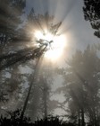 Picture for song 'Quiet Epiphany' by artist 'OSCKILO'
