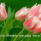 Picture for song 'Ranting Jack Fail' by artist 'Ozmoroid'