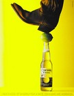Picture for song 'Laid Back in Low Key' by artist 'Paul Taylor'