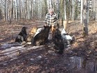Picture for song 'Alaska's Fine' by artist 'PeatyBoy Band'
