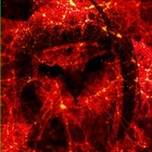 Picture for song 'Darke' by artist 'Penguin Bomb'