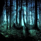 Picture for song 'Proyect ambient 11' by artist 'PHIL SORIA'