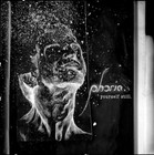 Picture for song 'Bones' by artist 'Phoria'