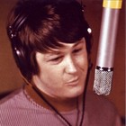 Picture for song 'Brian Wilson Syndrom' by artist 'Pim van der Steen muziek'