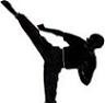 Picture for song 'Shadow Boxer' by artist 'P J Barrett'