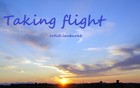 Picture for song 'taking flight' by artist 'Plaza7'