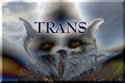 Picture for song 'Trans-sample' by artist 'princess eldi'