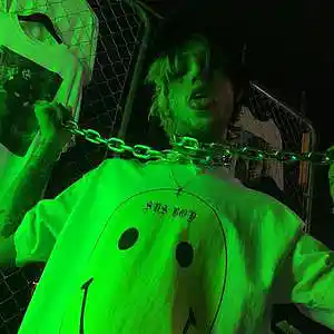 Picture for song 'LIL PEEP TYPE BEAT (Prod by PINK_P) 339' by artist 'pinkp'