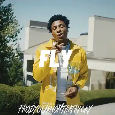 Picture for song 'FLY NBA YoungBoy Type Beat' by artist 'prodyouknowthatricky'