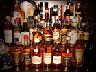 Picture for song 'Drunk As Fu**' by artist 'Pyrotecknics'