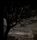 Picture for song 'The Light (new version)' by artist 'Q Studio'