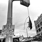 Picture for song 'Gang Sign of the Times' by artist 'RADIO-LAB'