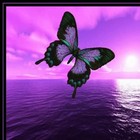 Picture for song 'He Says, She Says2' by artist 'Rebecca Michael'