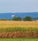 Picture for song 'AMERICA THE BEAUITFUL!' by artist 'Redneck MBA'